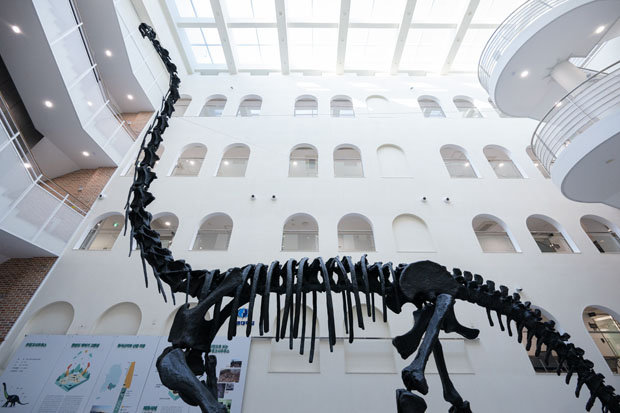 부경고사우루스 화석 1