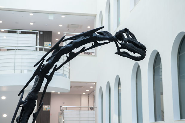 부경고사우루스 화석 2