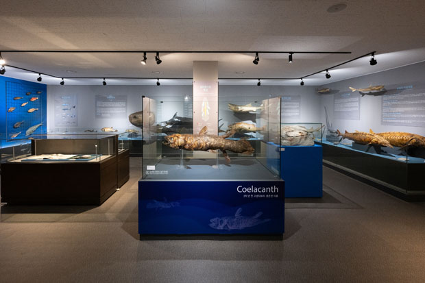 실러캔스 화석 1