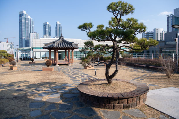 하늘품은 정원 4